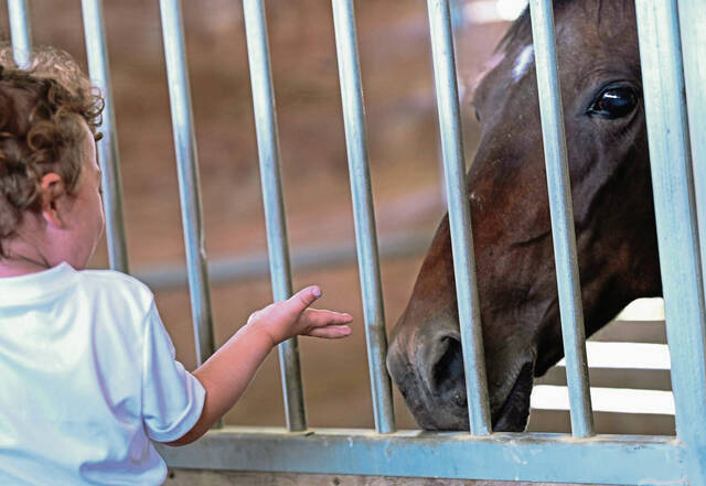 8662858_web1_gtr-CharityHorseShow102-071325