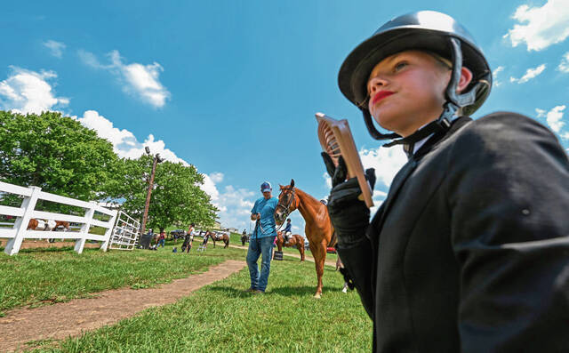8662858_web1_gtr-CharityHorseShow103-071325