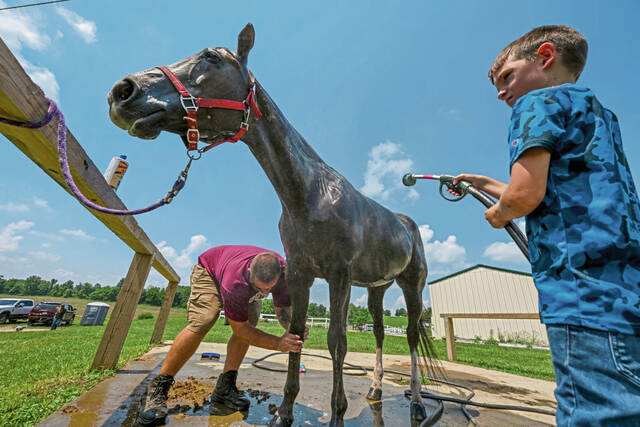 8662858_web1_gtr-charityhorseshow105-071325