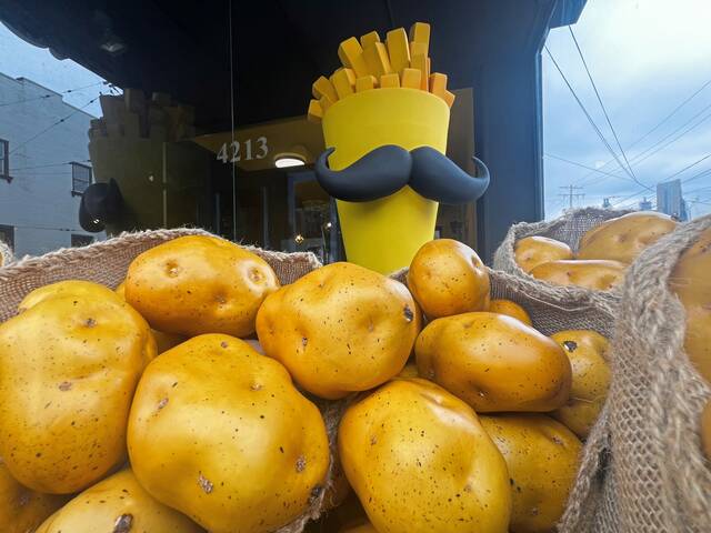 8665250_web1_ptr-fries-071125