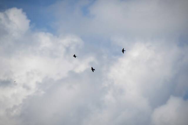 8674246_web1_gtr-BatCam19-071625