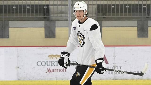 Penguins defensive prospect Daniel Laatsch is more than a big body