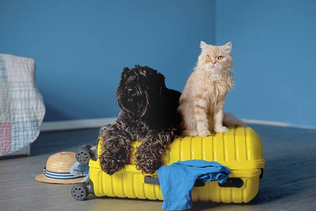 8676155_web1_part-BestDogBoarding_North