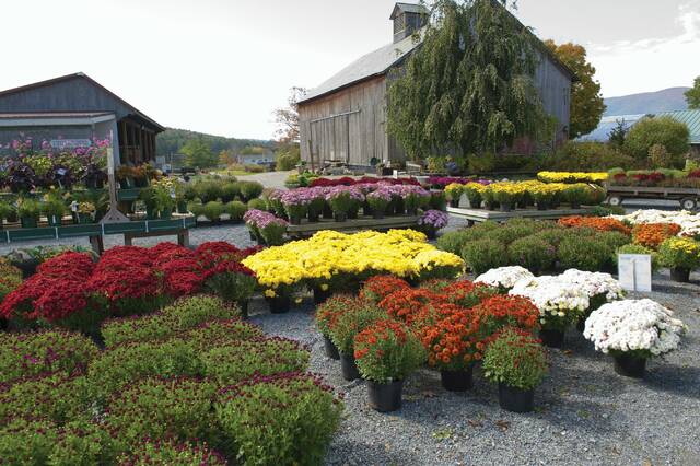 8676229_web1_part-BestGardenCenter_Southwest-071125