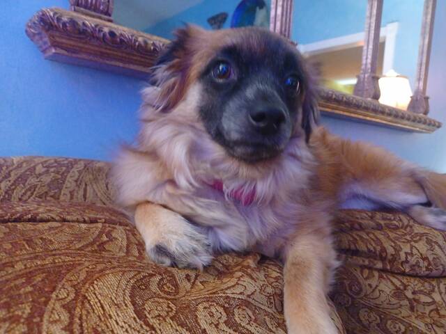 8687294_web1_naj-PennyFound-072425
