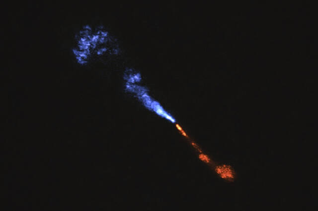 8690081_web1_8690081-efd9181cd41a4dc789af0c1b654b1bbb