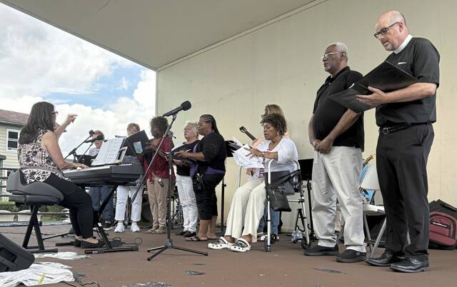 8699035_web1_vnd-avacchoir4-072125