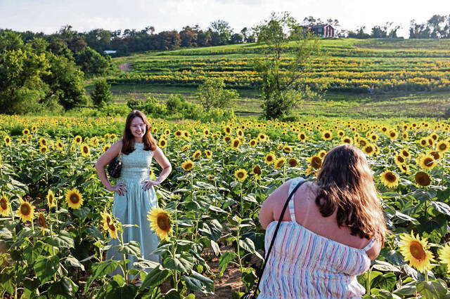Forward Township sunflower farm serves as great setting for photos