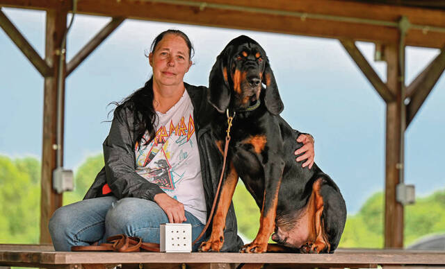 8712459_web1_gtr-lanternflydogs100-072525