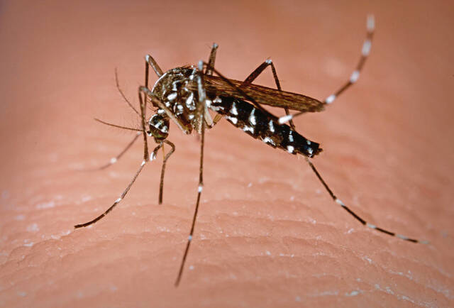 West Nile, Jamestown Canyon viruses found in Westmoreland mosquitoes; Lyme risk high