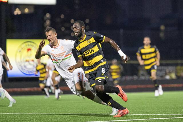 8725097_web1_ptr-Hounds-073025