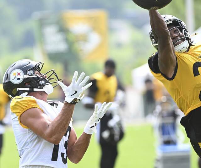 8731734_web1_ptr-Steelers13-080125