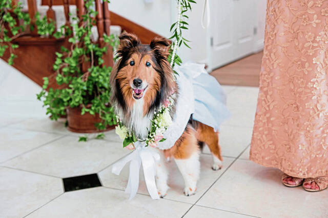 8665928_web1_ptr-weddingtrends14-080325