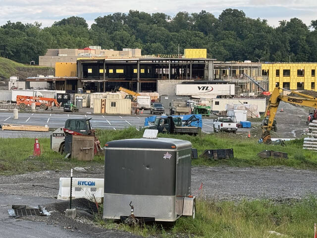 8698898_web1_BPelementary