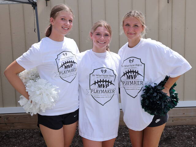 8700885_web1_cheerleaders