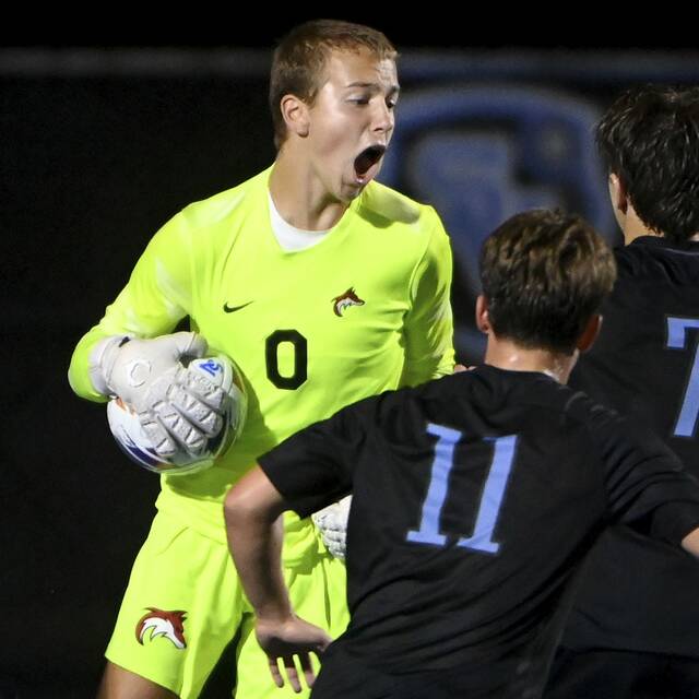 Trib HSSN 2025 WPIAL boys soccer preview: Graduation leaves Class 4A, 3A fields wide open