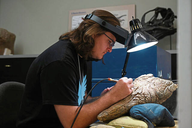 Dino digger: Norwin grad gathers fossils from Wyoming, aids research in Pittsburgh