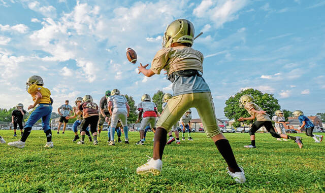 8731069_web1_vnd-youthfootball100