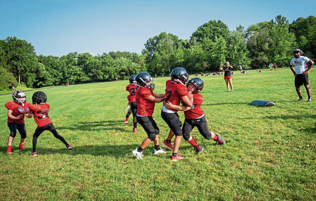 8731069_web1_vnd-youthfootball5