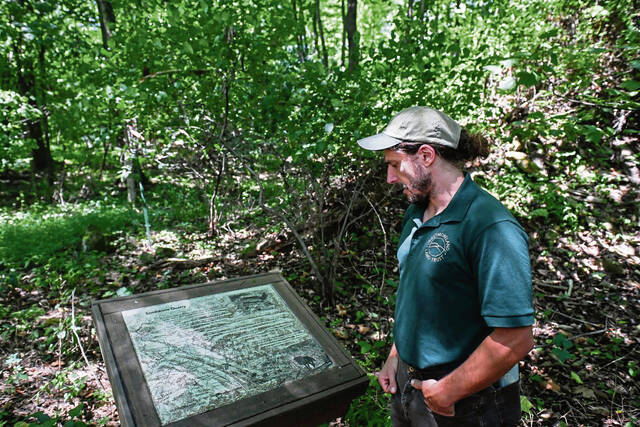 8735450_web1_gtr-OldGrowth002-080725