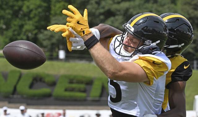 8737816_web1_ptr-Steelers03-080325