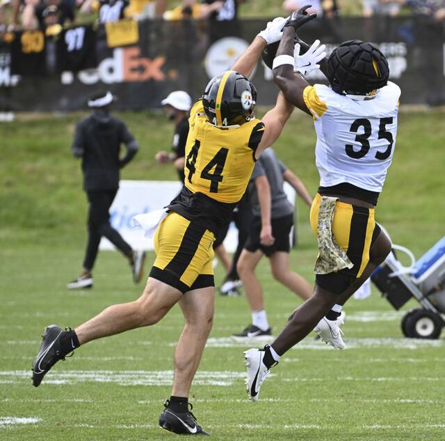 8737816_web1_ptr-Steelers06-080325