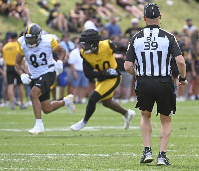 8737816_web1_ptr-Steelers07-080325