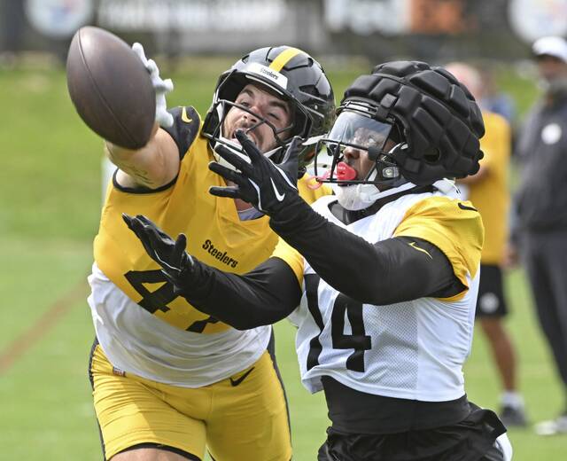 8737816_web1_ptr-Steelers09-080325