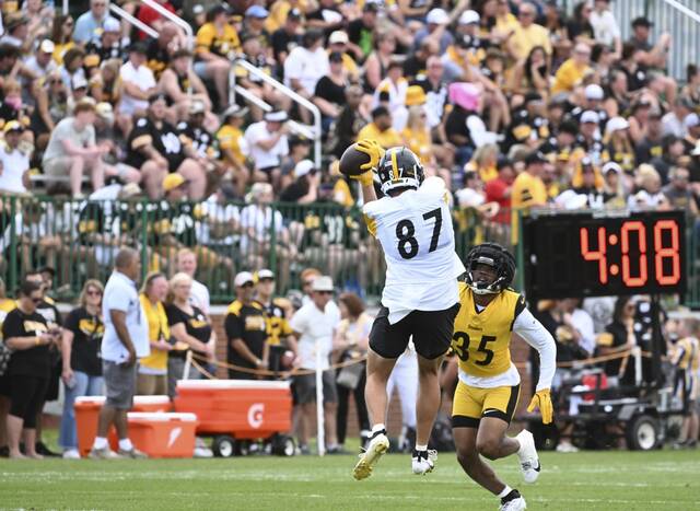 8737816_web1_ptr-Steelers11-080325