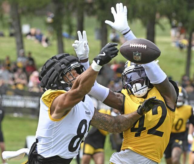 8738263_web1_ptr-Steelers14-080325