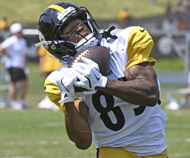 8739401_web1_ptr-Steelers01-080425