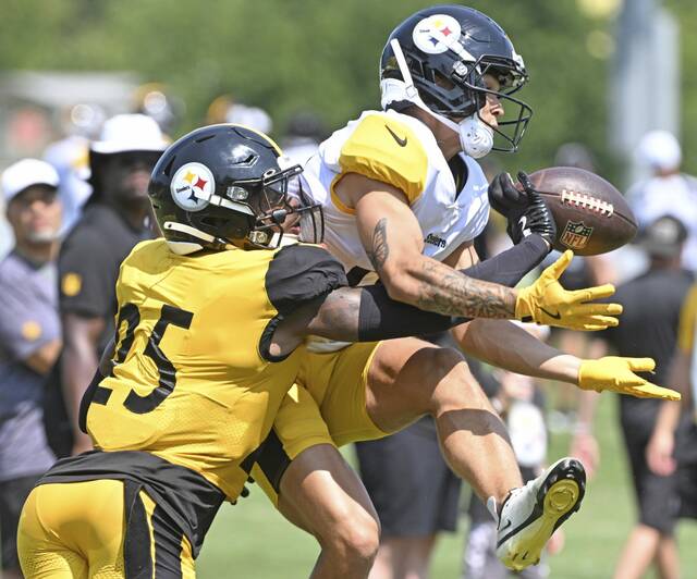 8739401_web1_ptr-Steelers04-080425