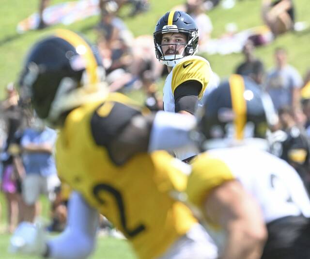 8739401_web1_ptr-Steelers05-080425