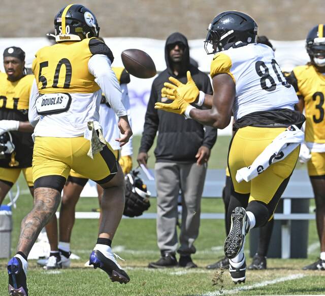 8739401_web1_ptr-Steelers13-080425