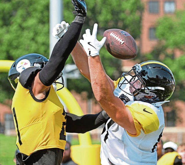 8739401_web1_ptr-Steelers15-080425