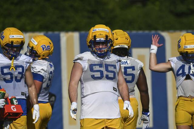 Defensive tackle, end look like positions of quality depth for Pitt