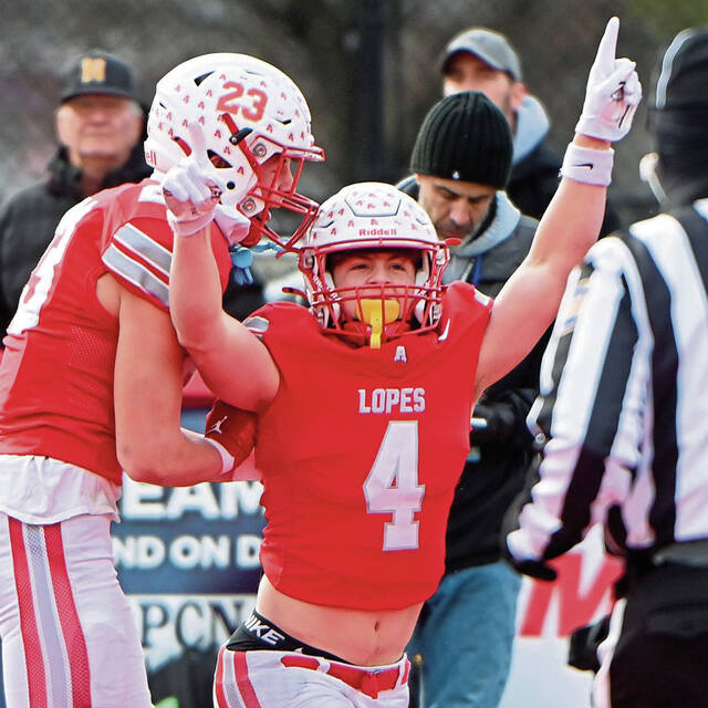 WPIAL Class 3A preview: Defending champ Avonworth again looks like team to beat