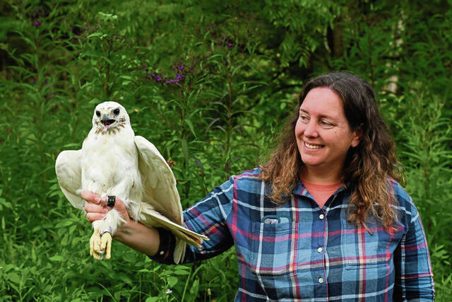8743542_web1_gtr-hawkrelease003-080625