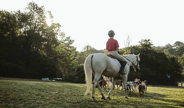 8743981_web1_sew-sewickleyhunt1