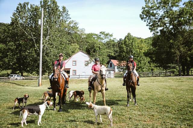 8743981_web1_sew-sewickleyhunt2