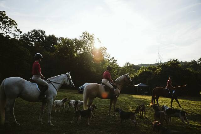 8743981_web1_sew-sewickleyhunt6-2
