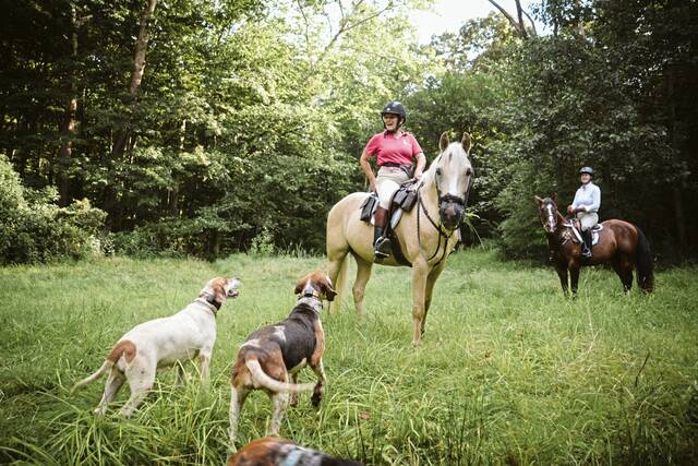8743981_web1_sew-sewickleyhunt8