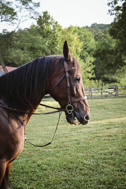 8743981_web1_sew-sewickleyhunt9