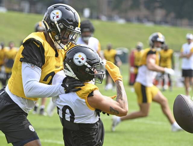 8751881_web1_ptr-Steelers07-080125
