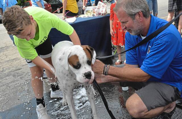 8753984_web1_te-lo-dogwash5-081618