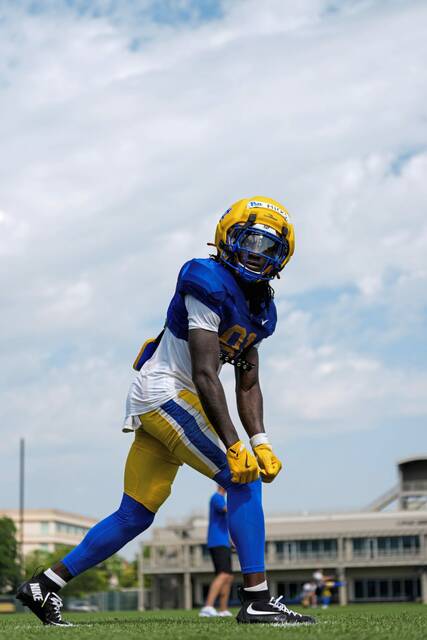 8758619_web1_ptr-pitt-081025