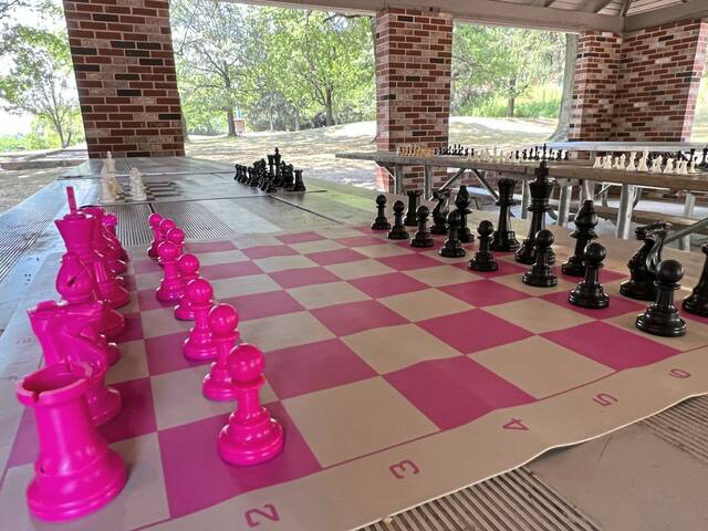 8770251_web1_her-chess-081525-2