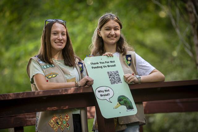8785651_web1_vnd-BLPscouts15