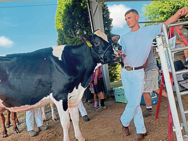 8785944_web1_gtr-dairycow2