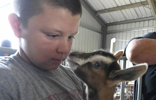 8789469_web1_gtr-babygoats103-082025